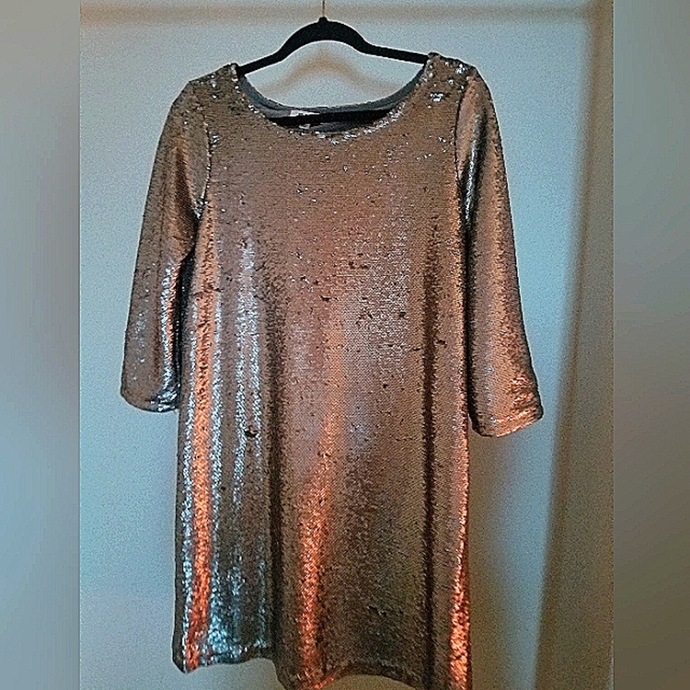BB Dakota Silver Sequins Dress